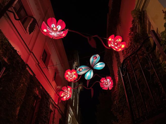 &ldquo;illuminated cloth flowers at night&rdquo;